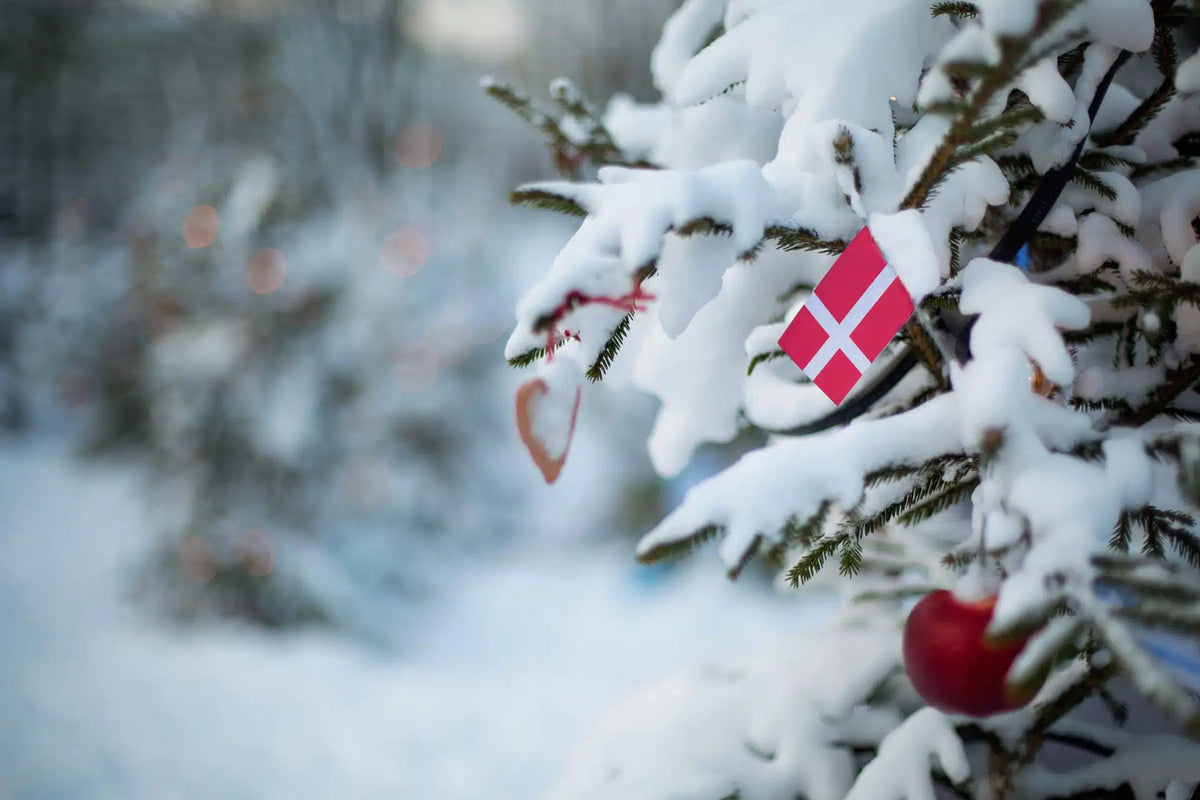 Åbningstider i Julen 2025