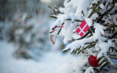 Åbningstider i Julen 2024